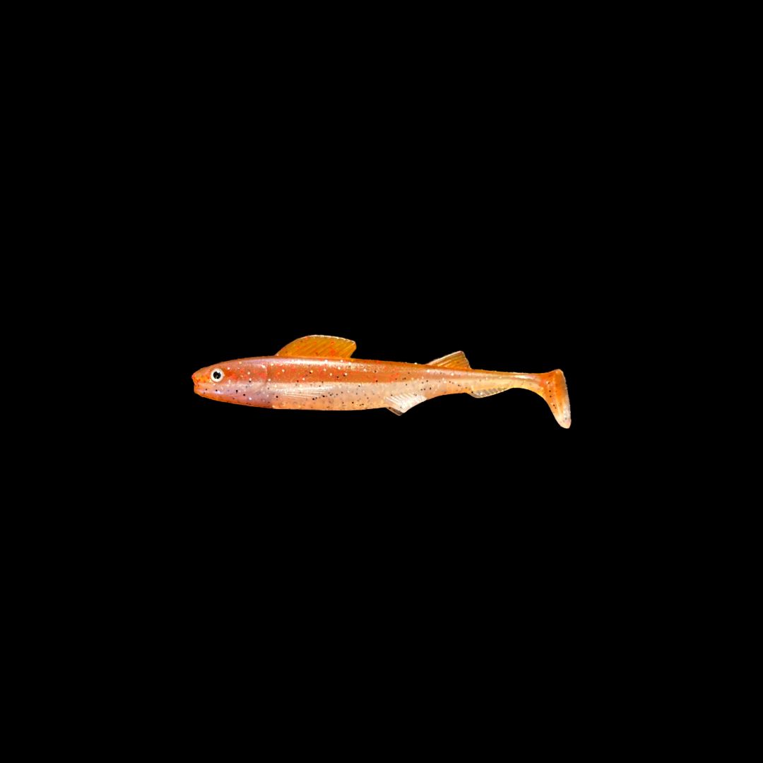 Gapshad Snacky